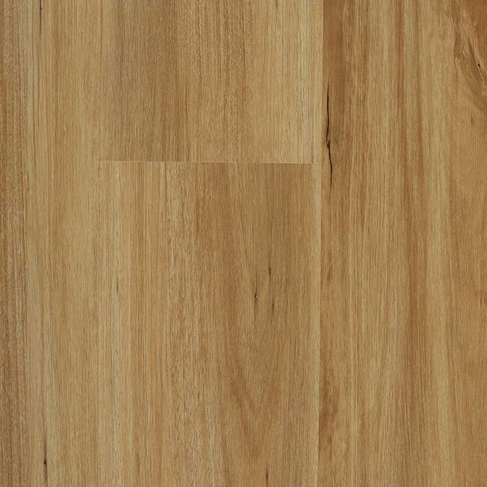 Spotted Gum Luxury Hybrid flooring sample